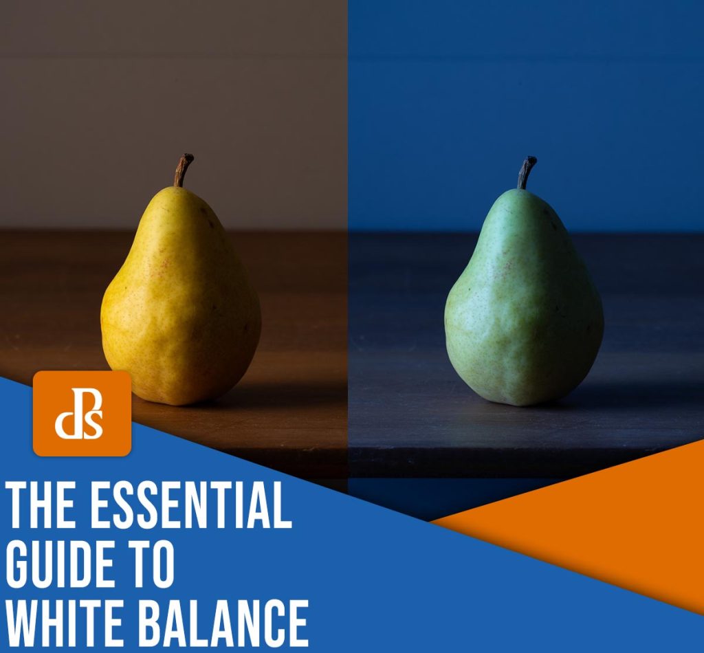 White Balance in Photography: The Essential Guide