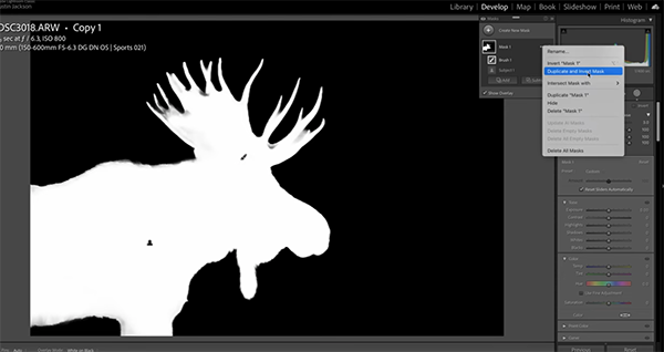 A Quick White Balance Trick for Photos with Ideal Colors (VIDEO)