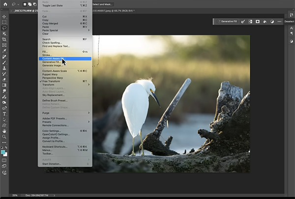 Why Photoshop's Content-Aware Fill Tool is STILL Valid Today (VIDEO)